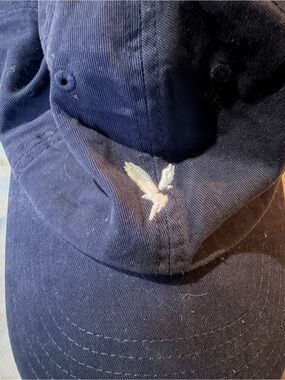 American Eagle Outfitters Navy Baseball Cap with White Eagle Logo